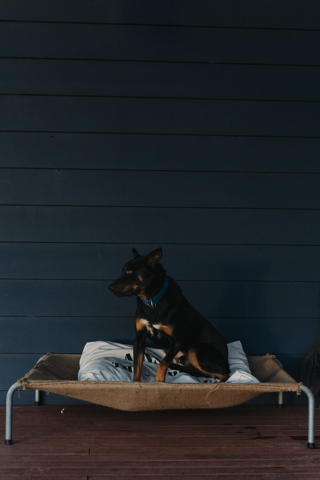 The Woolpack — Australian Working Dog Bed | Rural Dog Bed | Fill Your Own