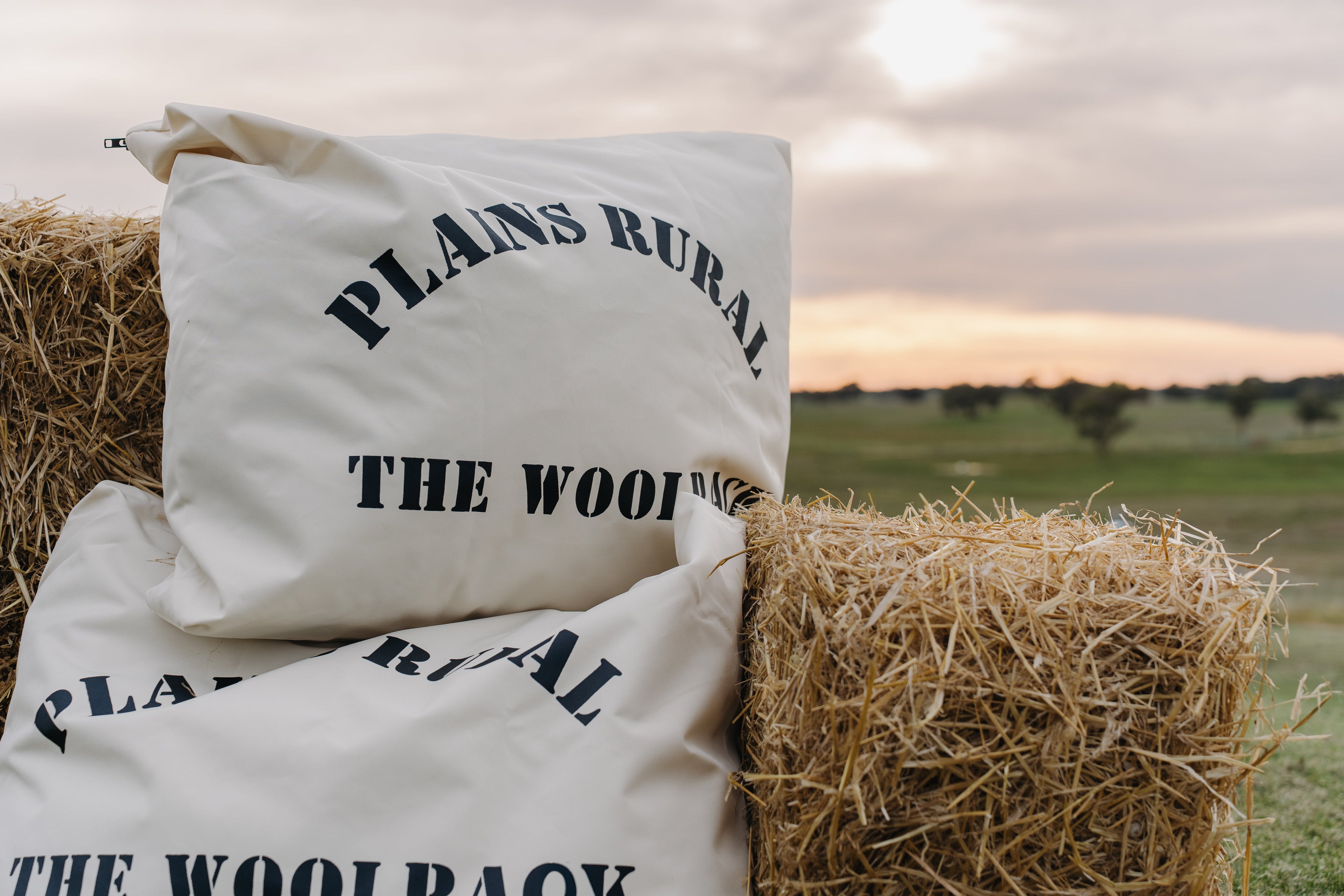 The Woolpack Dog Bed filled and ready for a working dog — Plains Rural