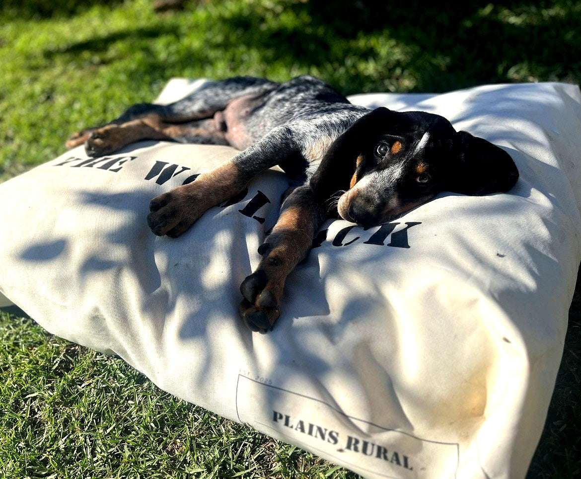 Working dog resting on The Woolpack Dog Bed — Plains Rural